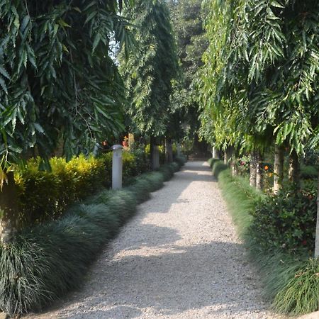 River View Jungle Camp Sauraha Zimmer foto