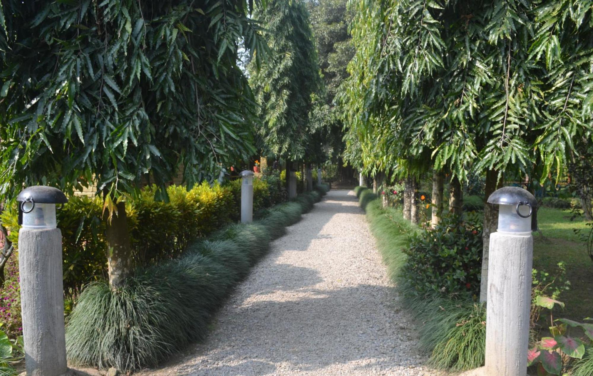 River View Jungle Camp Sauraha Zimmer foto